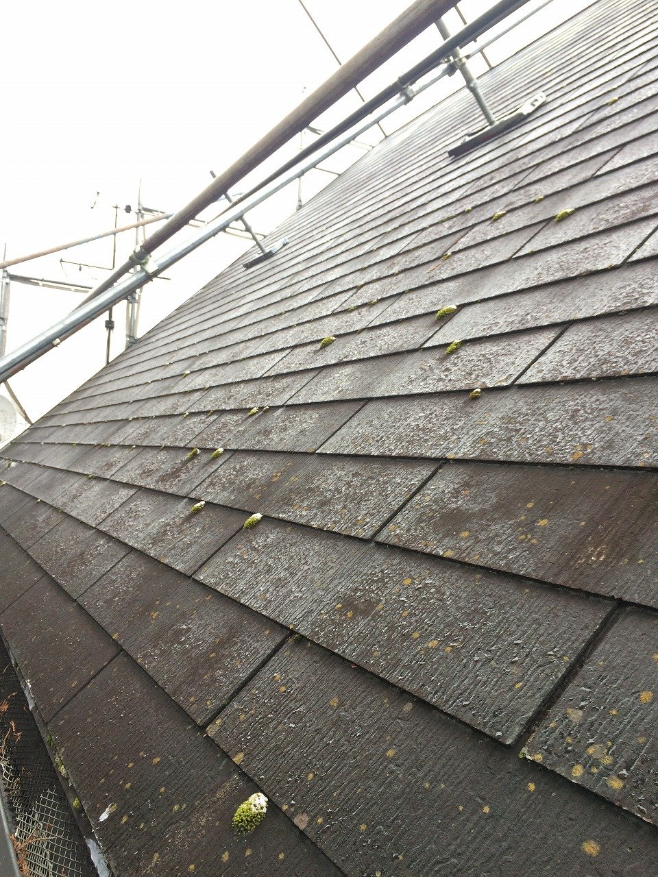塗り替え前の屋根の状態