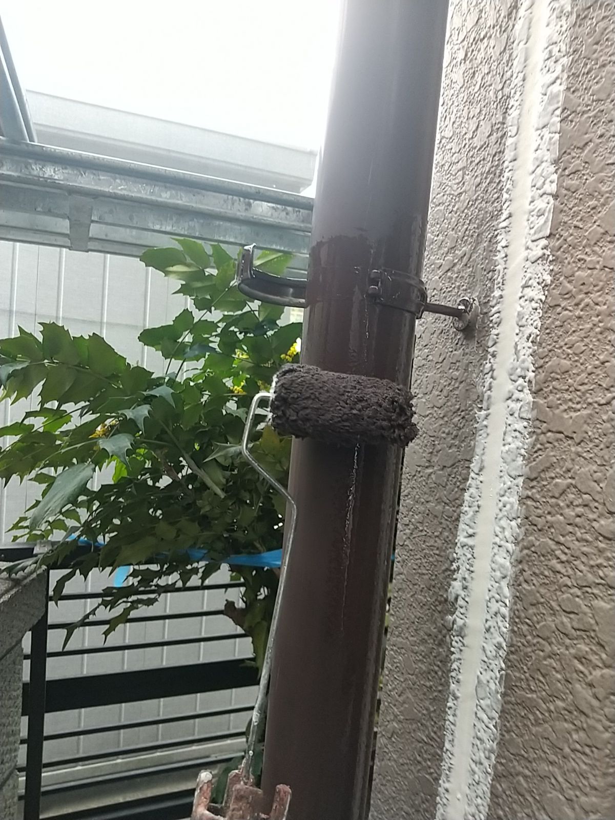 樋塗装